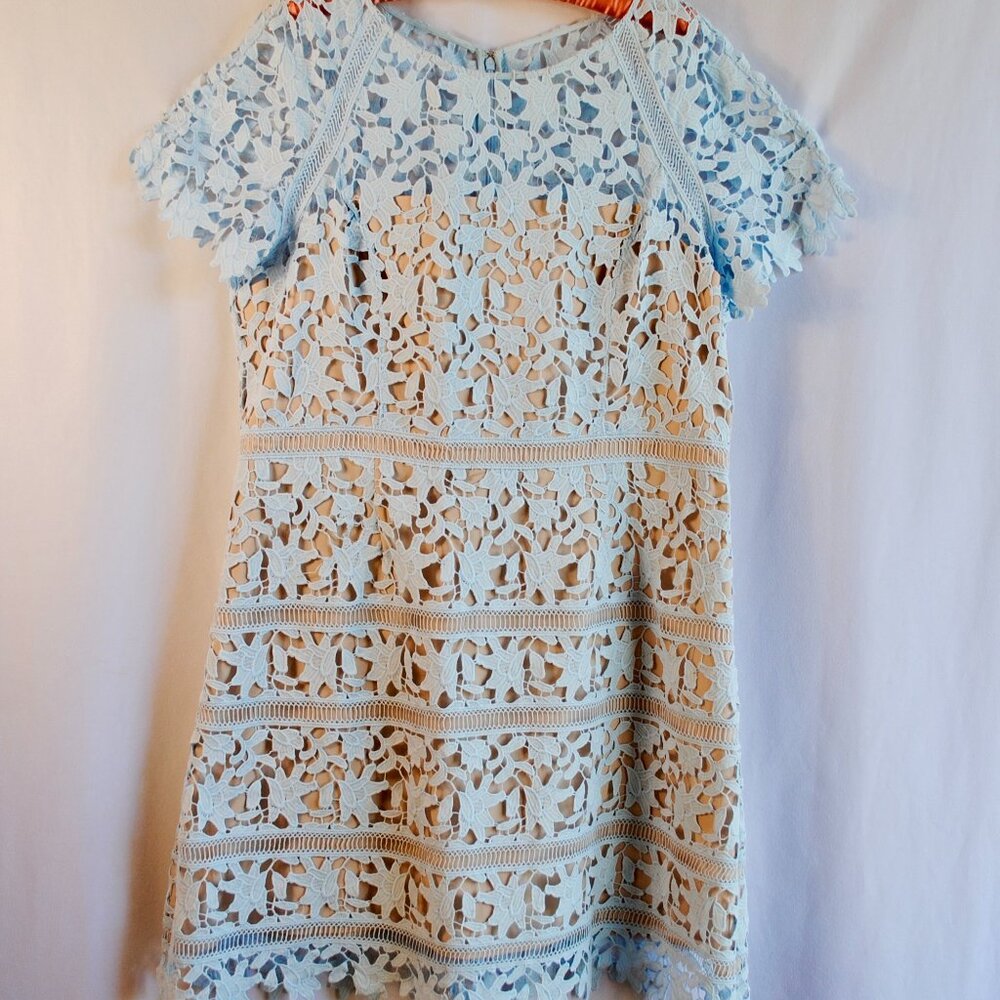 Light Blue Lace Overlay Sheath Dress - Eliza J - PLUS SIZE (18)